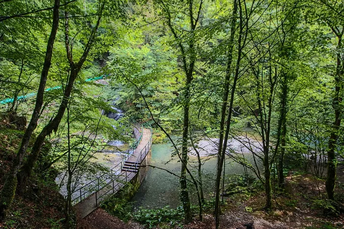 Forest path and turquoise water at Zeleni Vir in Gorski Kotar