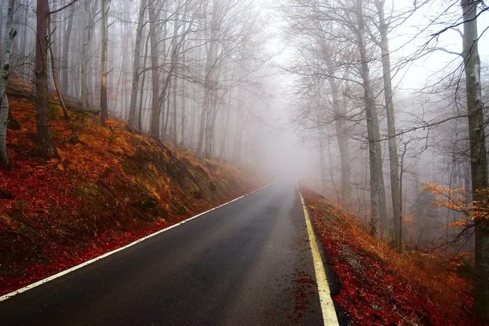 A misty forest road on Medvednica in autumn, near Zagreb